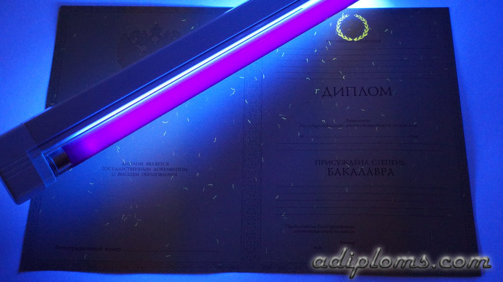 Диплом бакалавра 2010-2013 Фото Диплом бакалавра 2010-2013 Фото